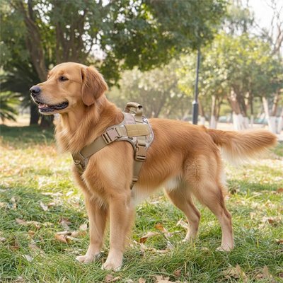 Harnais chien vert