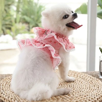 Harnais petit Chien charmante rose