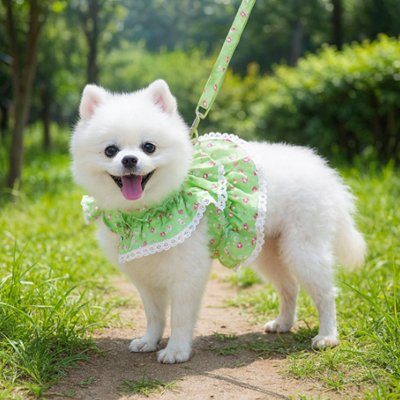 Harnais petit Chien frou frou vert