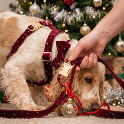 Harnais pour chien à action rapide permettant à sa maîtresse de libérer un chien pris dans une corde près du sapin de Noël