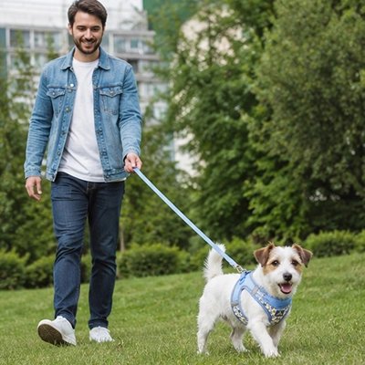 Harnais pour Chien bleu laisse