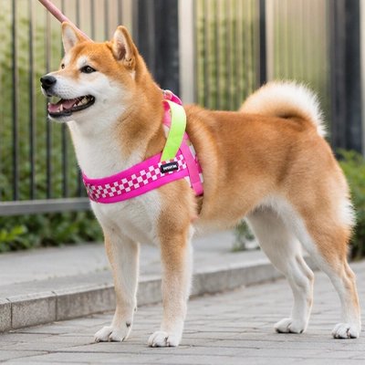 Harnais pour Chien rose motif