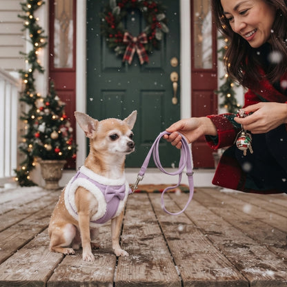 Harnais pour chien rose porté par un petit chien beige assis devant une porte décorée pour les fêtes pendant qu’une femme souriante lui présente la laisse