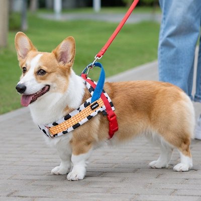 Harnais pour Chien Rouge motif