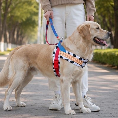 Harnais pour Chien rouge
