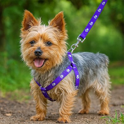 Harnais pour Chien