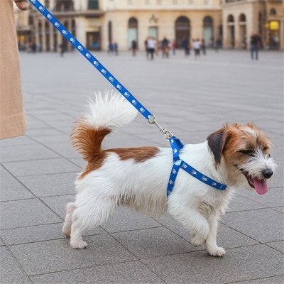 Harnais pour Chien