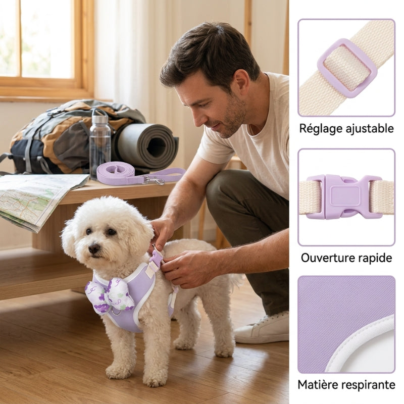 Harnais pour petit chien mauve ajusté par un homme sur un chien blanc à la maison