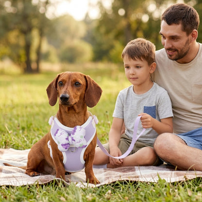 Harnais pour petit chien mauve chien brun près d un père et de son enfant au parc