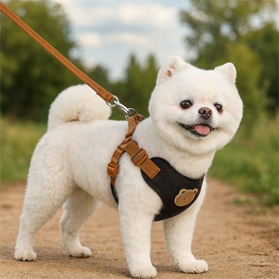 Harnais pour petit Chien noir avec laisse