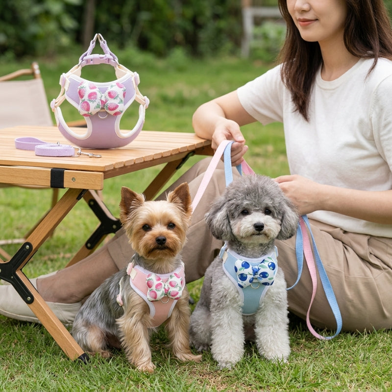 Harnais pour petit chien rose et bleu deux chiens près d une femme au pique nique