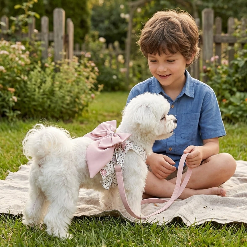 Harnais pour petit chien rose fleuri chien blanc avec un garçon dans le jardin
