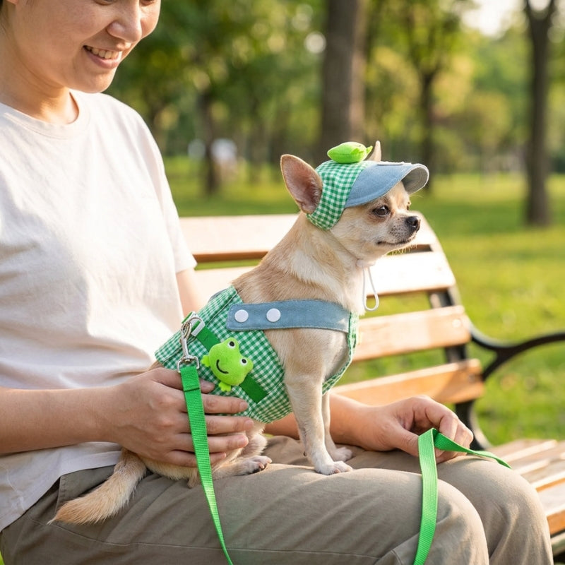 Harnais pour petit chien vert chihuahua sur les genoux d une personne assise au parc