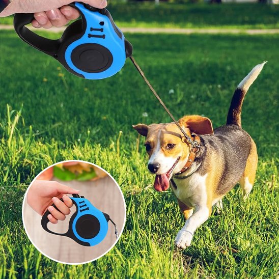 Laisse pour chien bleu au parc