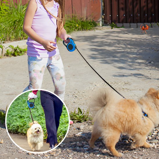 Laisse pour chien enrouleur détail