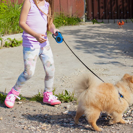 Laisse pour chien enrouleur jeune fille promène son chien