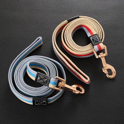 Laisse pour Chien gris beige