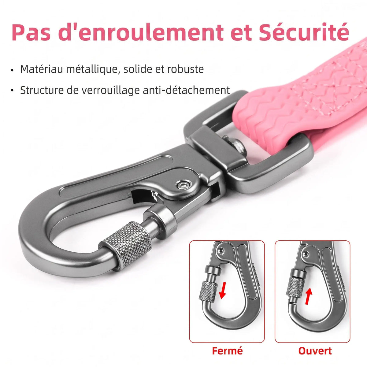 laisse pour chien imperméable antidérapante Crochet