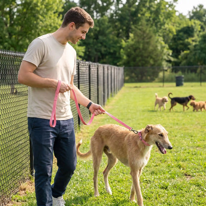 laisse pour chien imperméable antidérapante parc