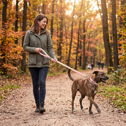 Laisse pour chien imperméable rose Rando ImperMax