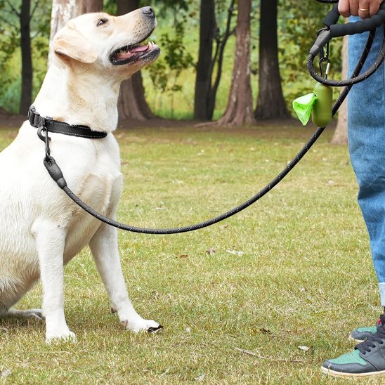 Laisse pour chien laisse noire