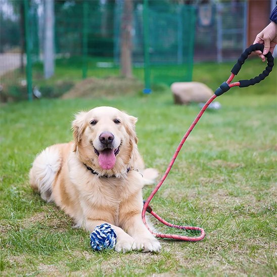 Laisse pour chien laisse rouge