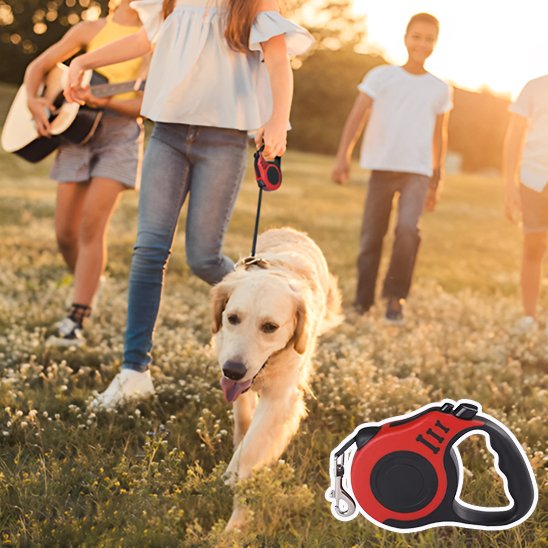 Laisse pour chien rouge à la campagne