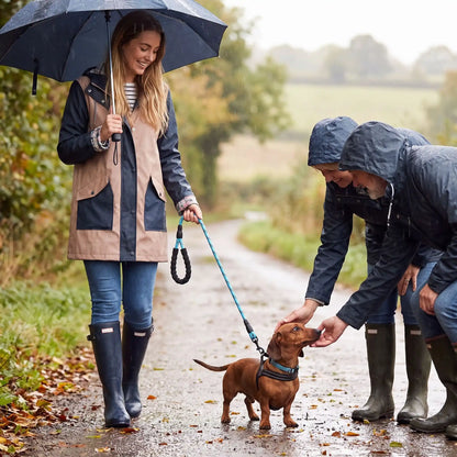 laisse pour chien secur laisse bleu