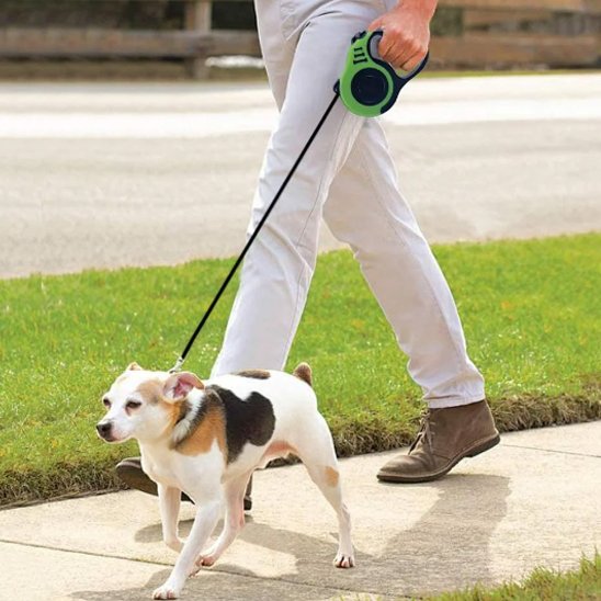 Laisse pour chien verre en promenade