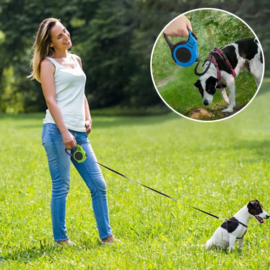 Laisse pour chien vert à la campagne