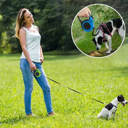 Laisse pour chien vert à la campagne