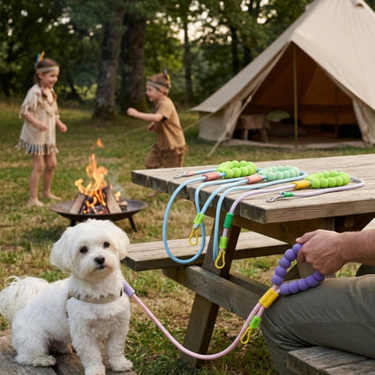 Laisse randonnée chien bichon près du feu avec deux autres modèles sur la table