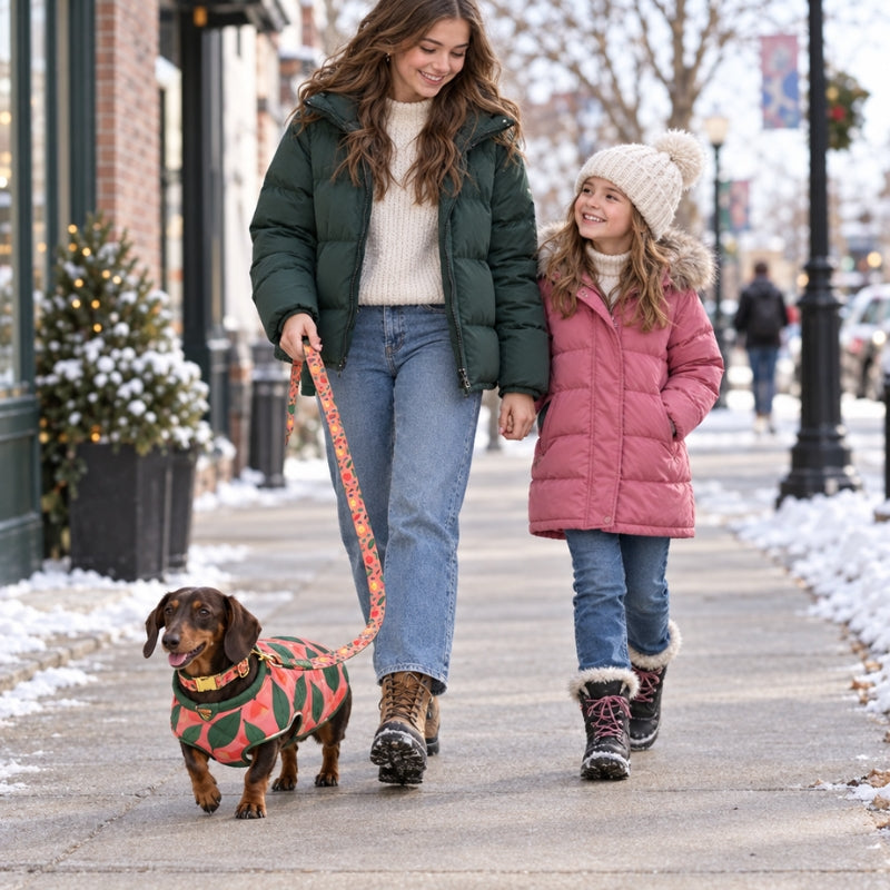 Laisse randonnée chien rose corail à motifs deux sœurs promenant un teckel en manteau assorti dans une rue enneigée