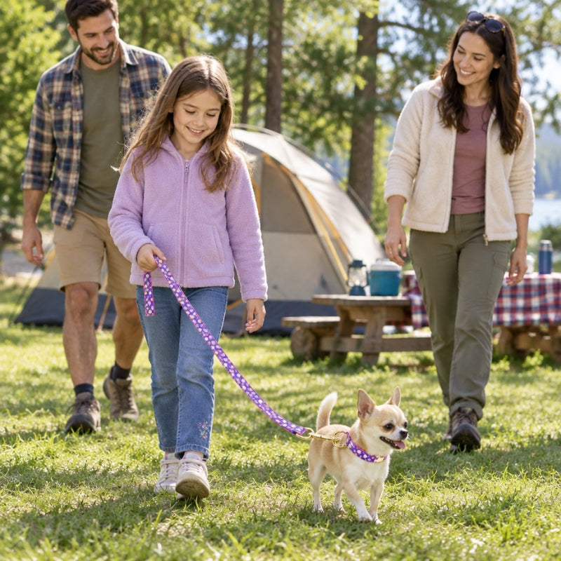 Laisse randonnée chien violette à cœurs enfant promenant un chihuahua avec collier assorti près de ses parents au camping