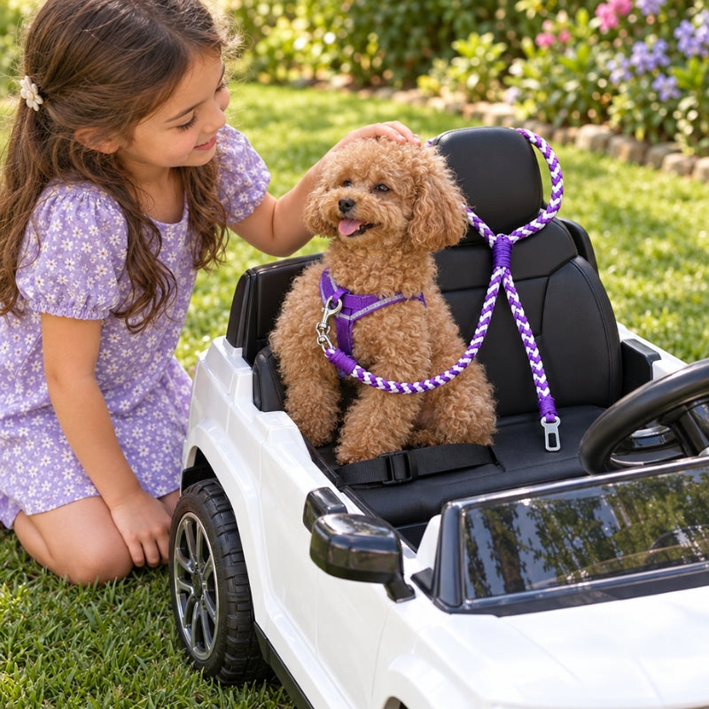 Laisse randonnée chien violette et blanche petit caniche assis dans une voiture pour enfants avec une enfant qui le caresse