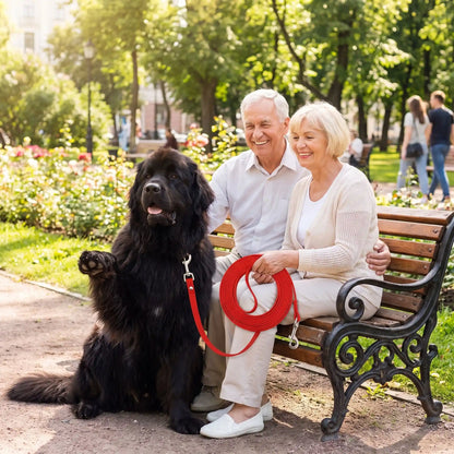 longue pour chien rouge banc parc