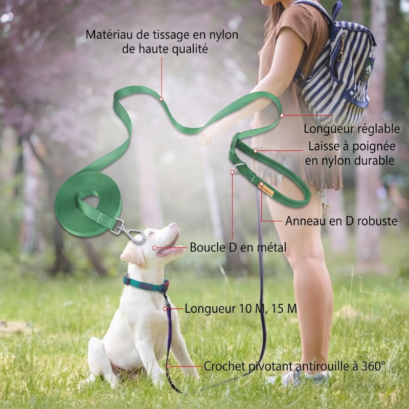 Longe pour chien avec chien obéissant dans un parc