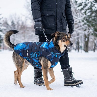 Manteau chien bleu neige