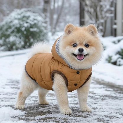 Manteau Chien Chien portant un manteau beige lors d’une promenade dans la neige