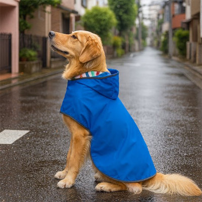 Manteau chien imperméable bleu
