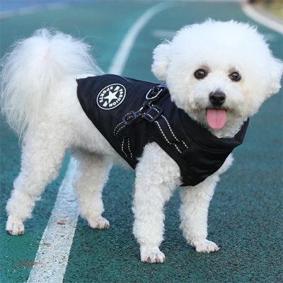 Manteau Chien noir