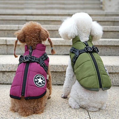 Manteau Chien Violet et vert