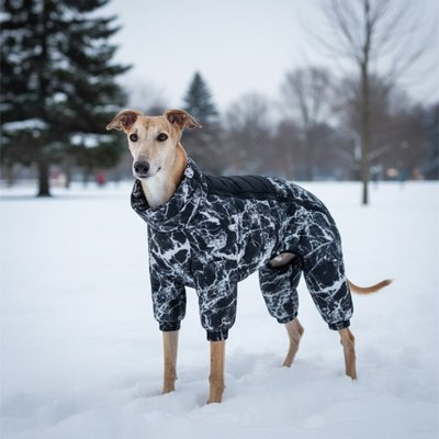 Manteau chien 