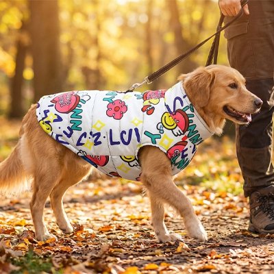 Manteau chien 
