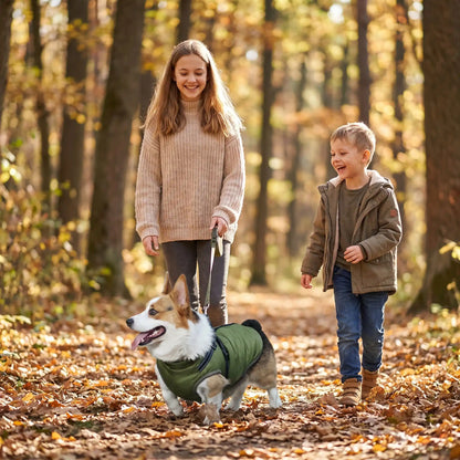 manteau pour chien vert chaud automne
