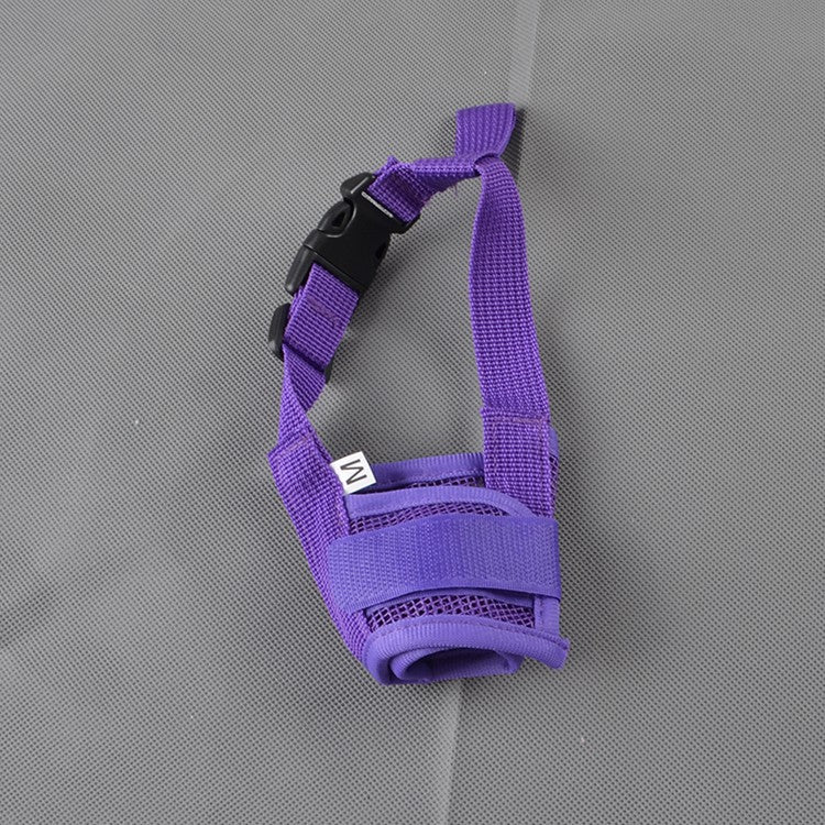 Muselière pour chien mauve souple présentée sur fond gris