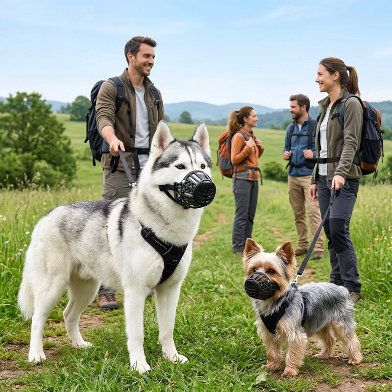 Muselière pour chien noire sur un husky et un yorkshire en laisse avec des randonneurs