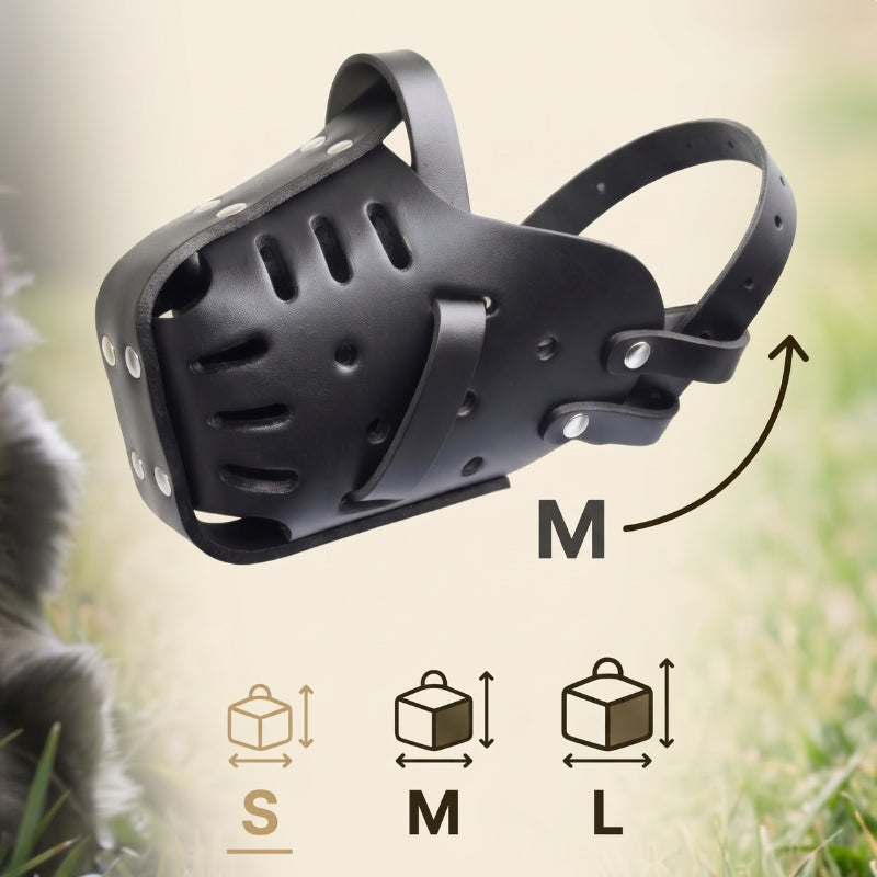 Muselière pour chien taille M modèle pour chien de taille moyenne