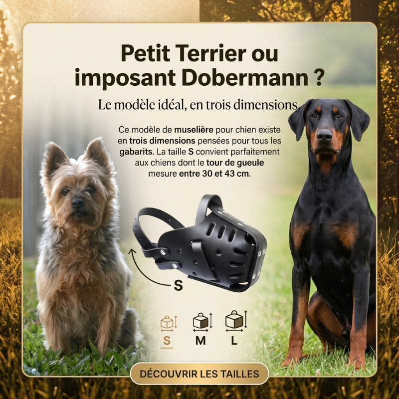 Muselière pour chien tailles S M L du petit terrier au dobermann