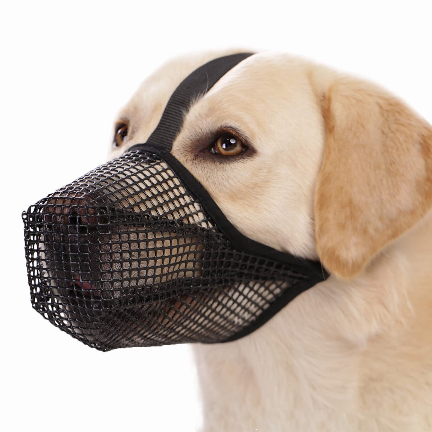 Muselière Chien | TrailPaw™ Douce & Ajustable